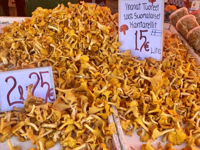 Chantarelles for days!